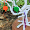 Birthday Set - Image 3