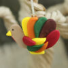 November: Thankgiving Turkey